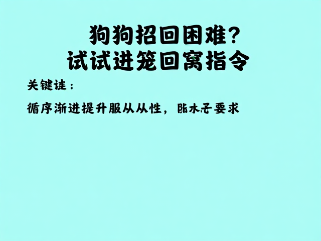 应对户外召回困难的技巧