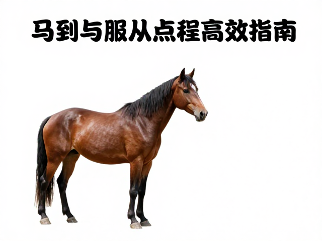 维持静止状态的从属技巧