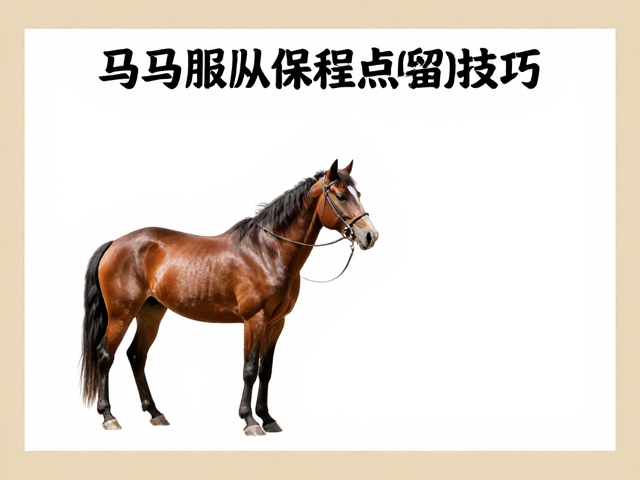 基础服从课程的高效训练路径
