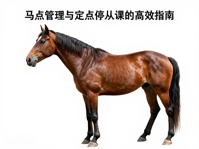 定点停留的操作要领与常见误区