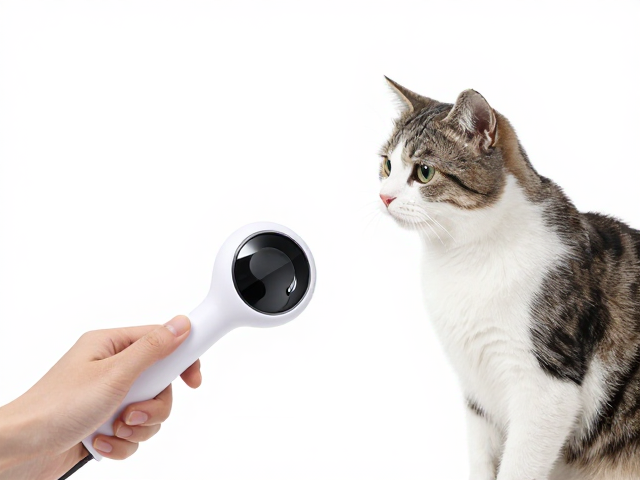 猫咪训练神器,响片点击器怎么用?精准标记正确行为,秒变乖猫
