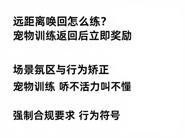 常见误区与行为矫正:避免错误的训练习惯