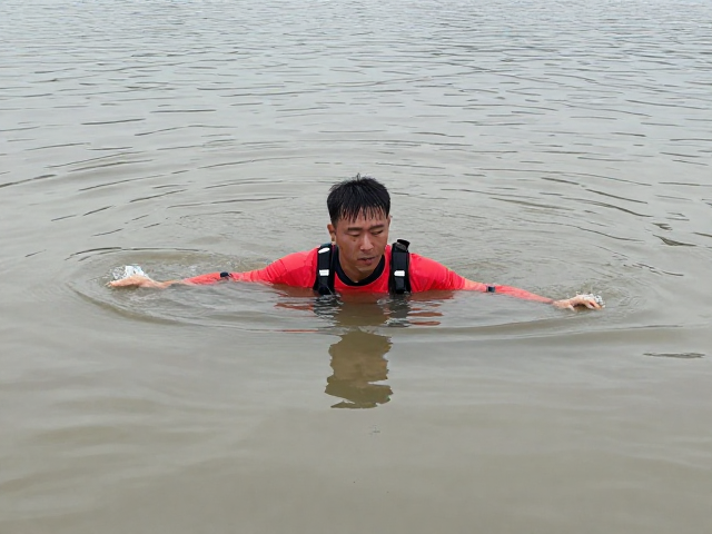 气味源定位在浑浊水域的感知机制