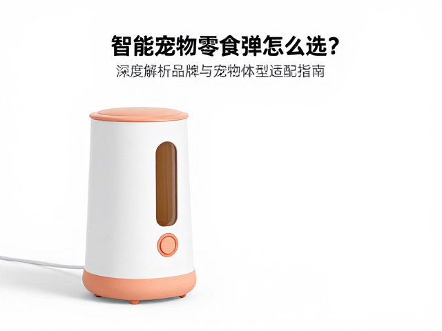 功能设计与互动体验