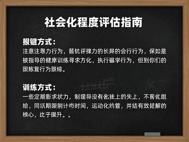 构建长期跟踪训练的执行框架