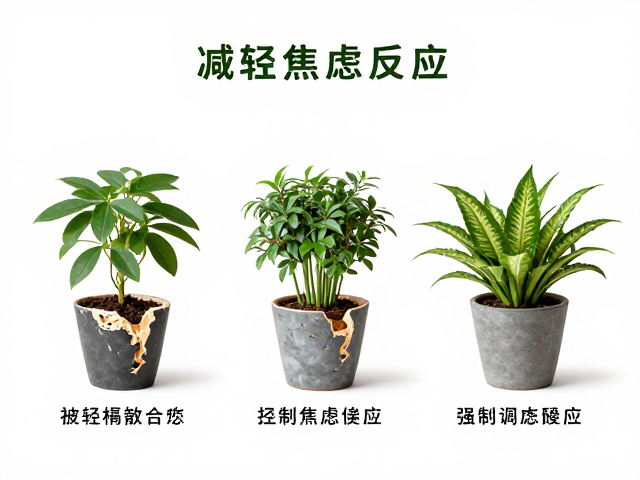 物理阻隔与生态调控:低成本且有效的防御手段