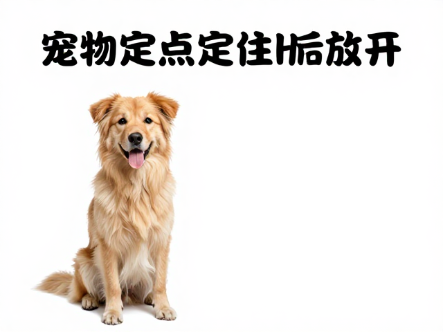 常见误区与干扰管理策略