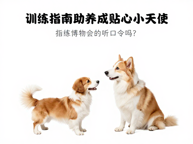应对常见误区与行为矫正