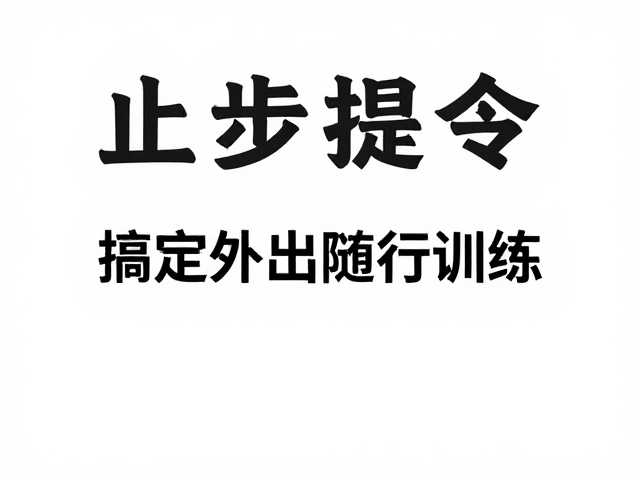 提升陪伴互动的质量与正向反馈