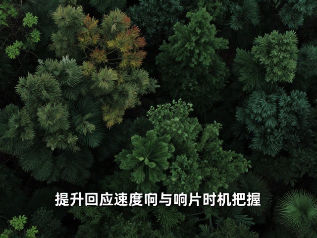 树林遮挡区唤回技巧,提升回应速度与响片时机把握