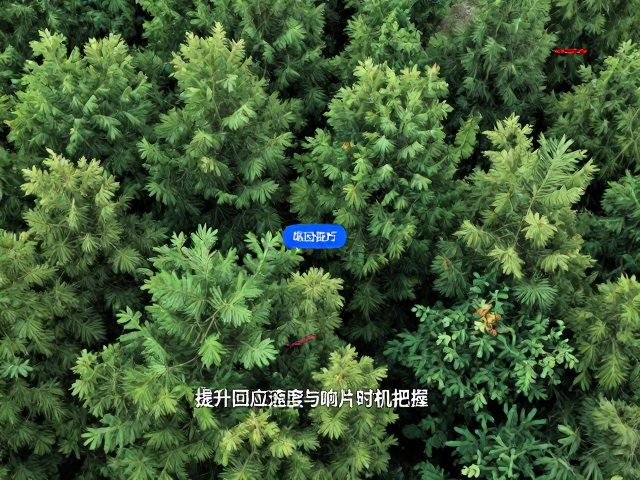 响片时机的精准捕捉与调整