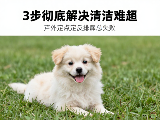 错误地点的零容忍与环境管理