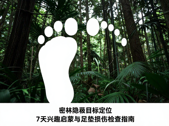 7天兴趣启蒙的渐进式引导