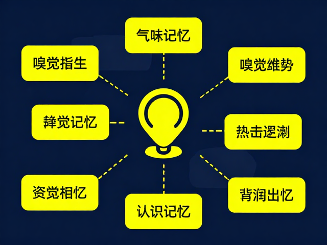 气味记忆引发注意力转移，目标位置示警指示的SEO优化逻辑