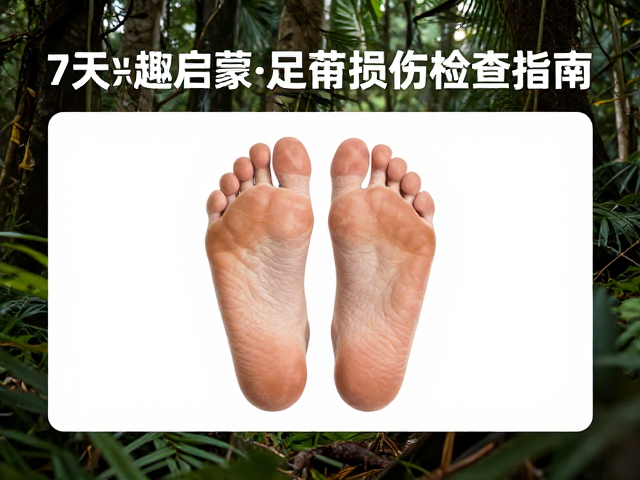 科学防护与恢复机制