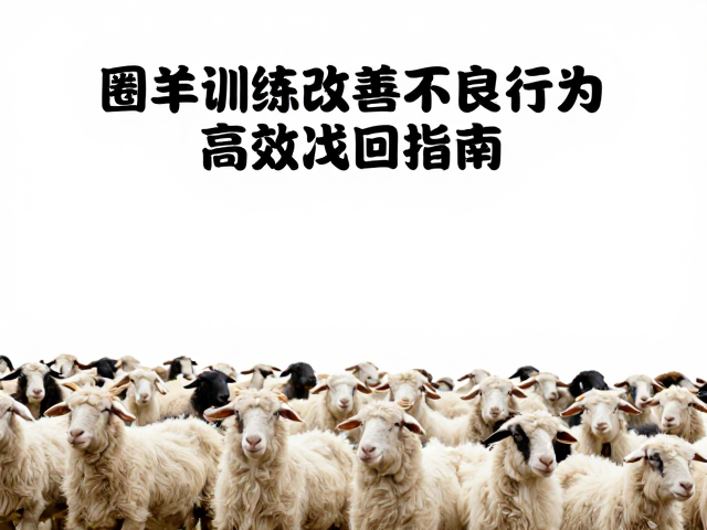 高效找回与日常管理体系