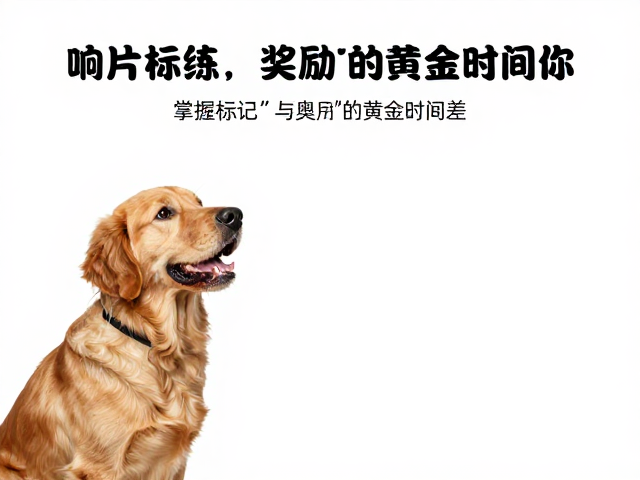 掌握&ldquo;标记&rdquo;与&ldquo;奖励&rdquo;的黄金时间差