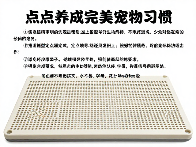 定点排泄:利用生物本能构建清洁秩序