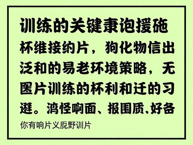 泛化训练的关键实施策略