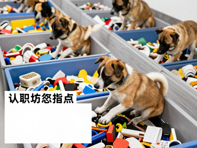 分拣不同材质物件的认知训练体系