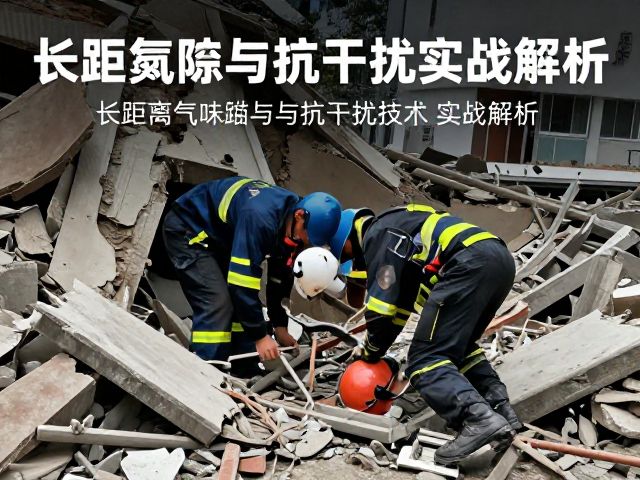 技术局限性与未来演进方向