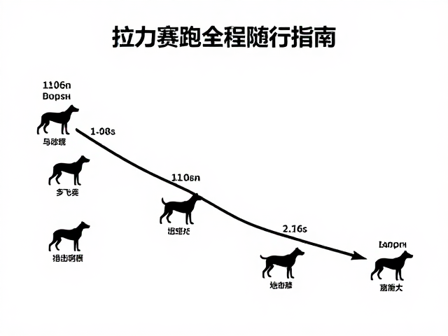 中级阶段：复杂地形应对与耐力构建