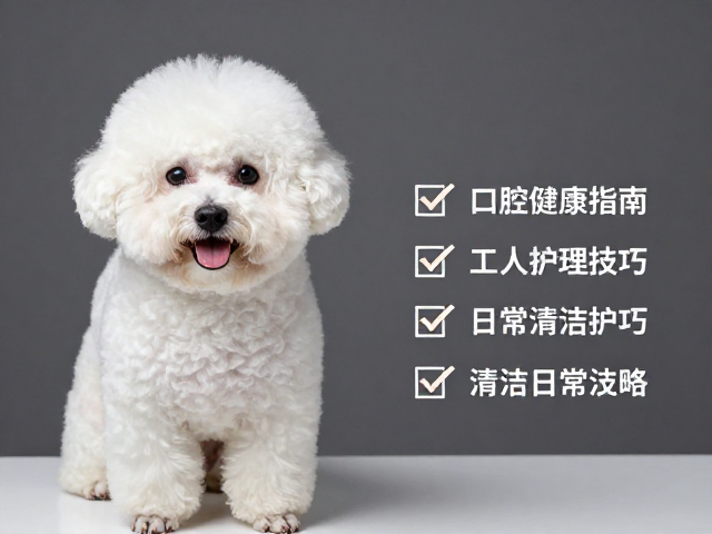 定期专业检查与长期维护策略