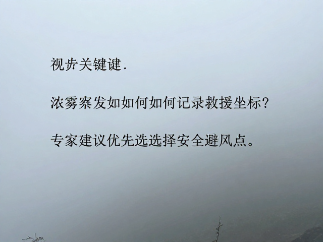 信息传递与救援协同规范