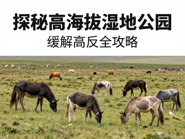 特有物种观察与生物多样性亮点