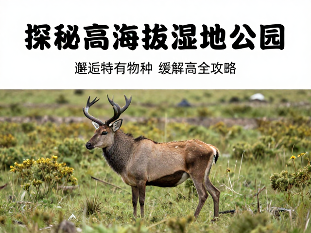 高反预防与生理适应策略