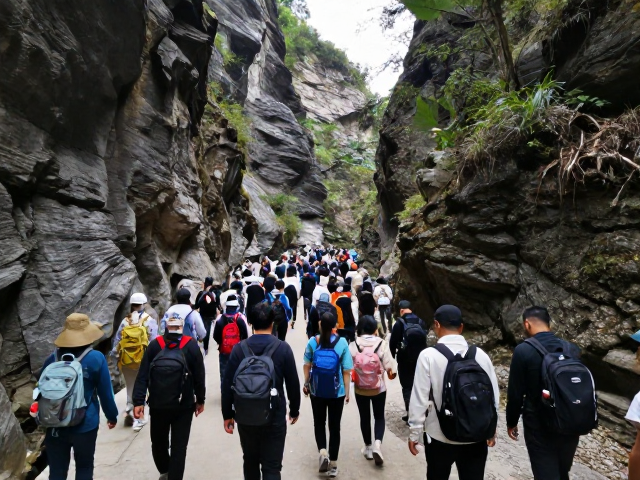 高流量路线的大众吸引力与潜在拥堵点