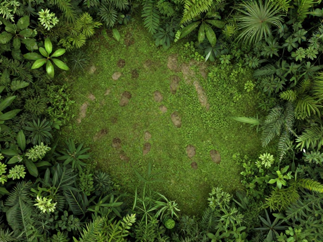 植被覆盖与动物栖息地的共生关系