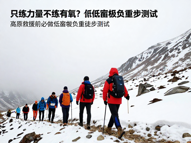 数据解析与高原作业能力的关联分析