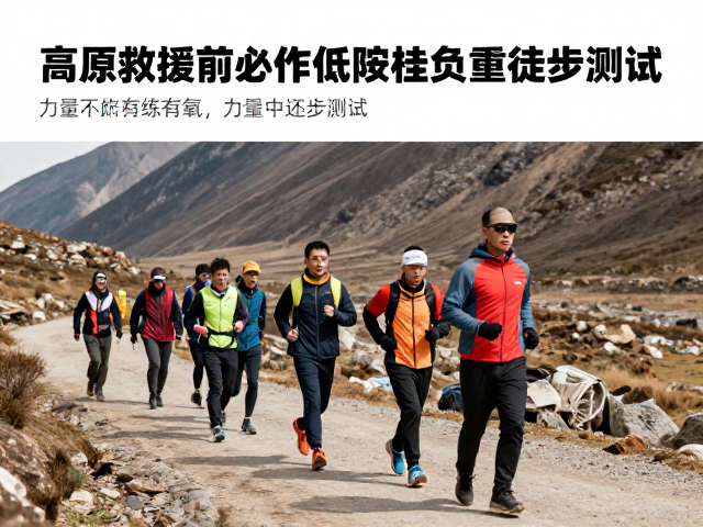 训练调整与高原适应性构建策略