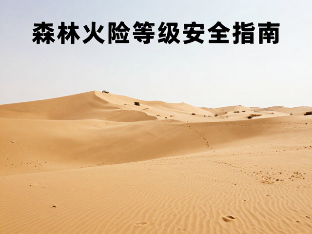 森林火险等级评估在沙漠生态安全中的特殊应用