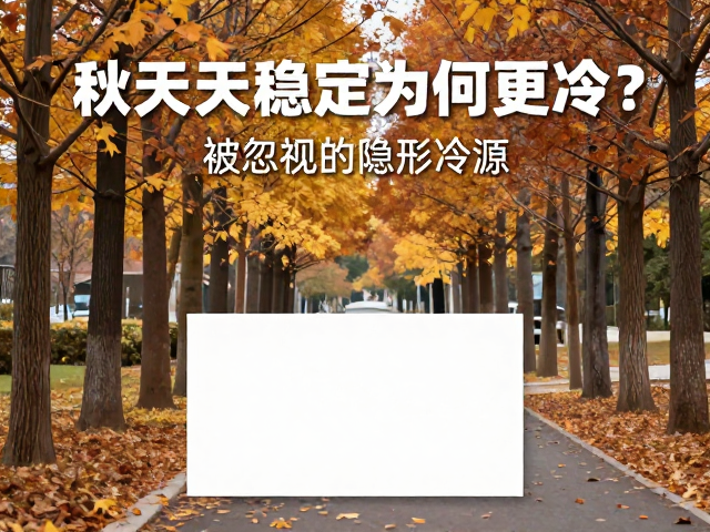 风寒效应:被忽视的隐形冷源