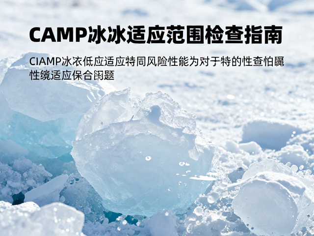 动态使用中的适应性验证与风险规避