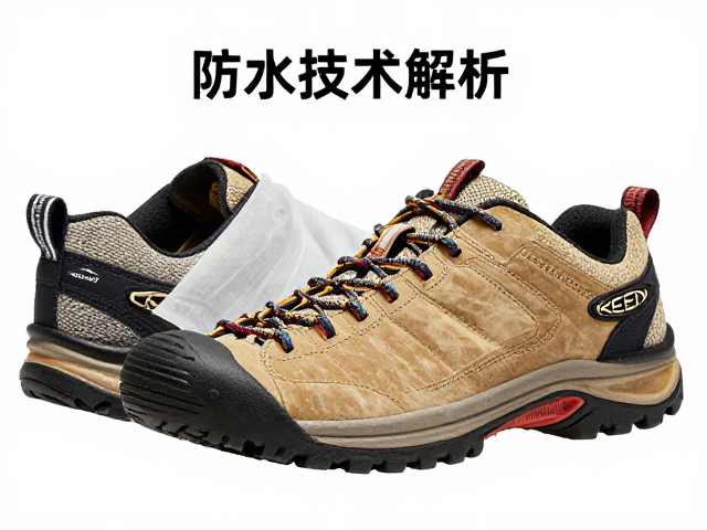 性能对比与选购指南