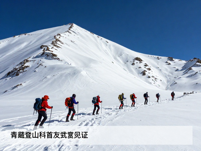 数据回溯:首次登顶记录的科学验证与细节重构