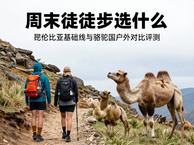 周末徒步选什么?哥伦比亚基础线与骆驼国际户外线深度对比评测