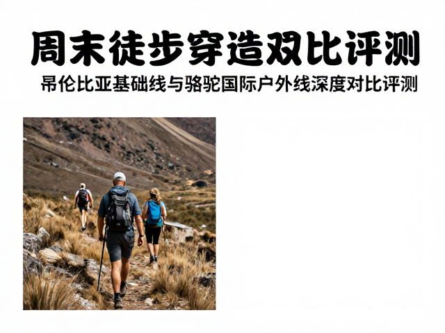 适用人群与长期穿着考量