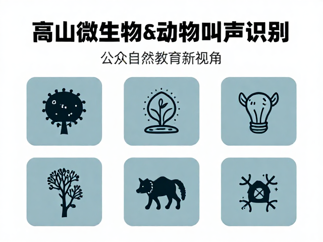 公众参与:自然教育的感官重构