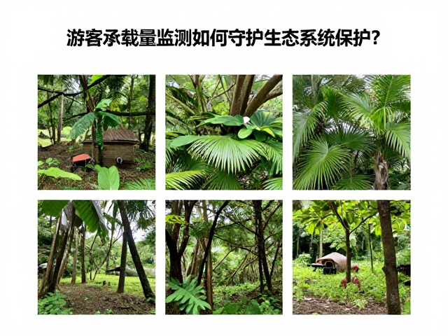 基于承载力计算的科学管控策略