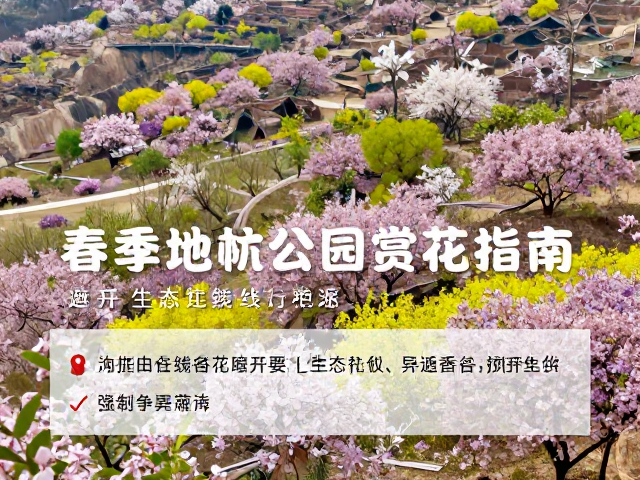 无痕游览,践行低碳赏花礼仪