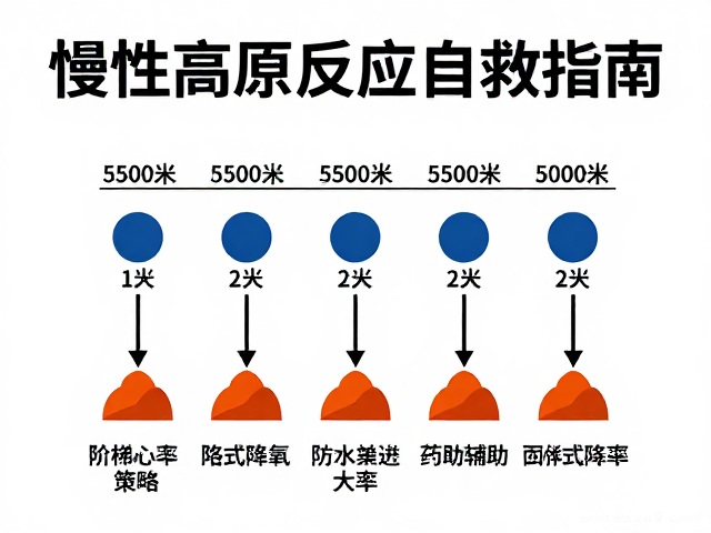 科学干预:阶梯式降氧与药物辅助策略