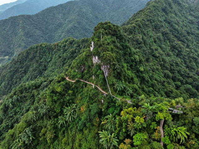 探秘原始森林，穿越绝美山脊路线，邂逅顶级风景名胜区