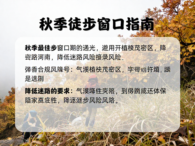 秋季徒步最佳窗口期,避开植被茂密区,降低迷路风险指南