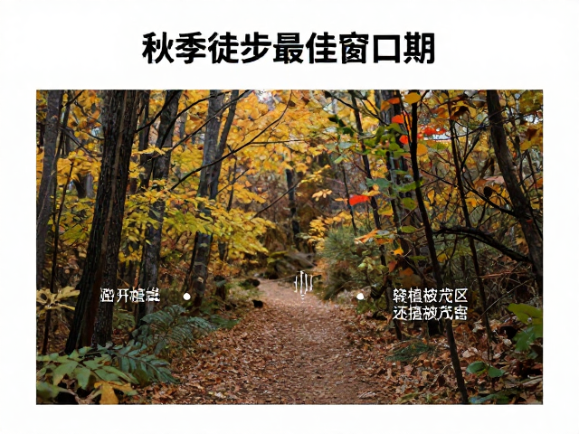 避开植被茂密区的路径选择策略
