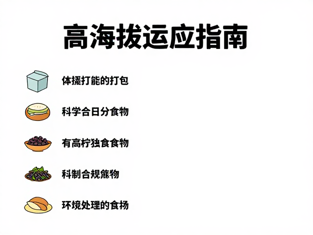 包装策略与环境适应性处理