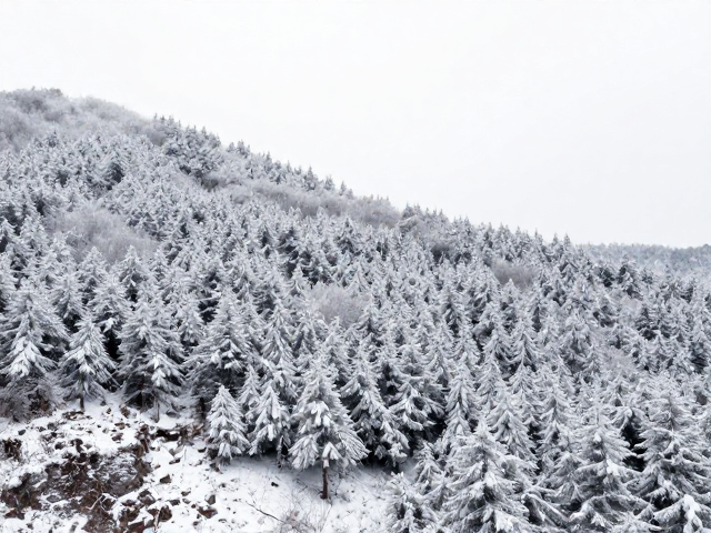 气温骤降!阳坡升温快,雪线高度将如何变化?